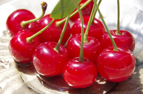 Zbiory wiśni czerwone jagody w talerzu. — Zdjęcie stockowe