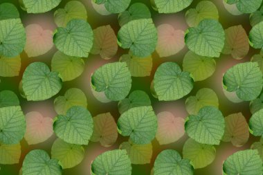 Yeşil yapraklı, kusursuz çiçek deseni..