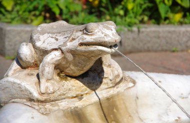 Ukrayna. Odessa 'da. 06.30.20. Opera ve Bale Tiyatrosu 'nda bir kurbağa heykeli..