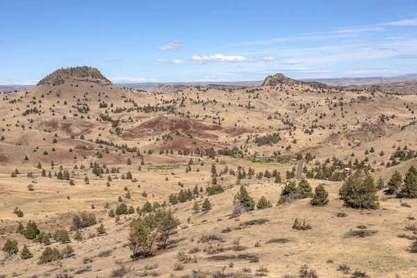 Dorre Landschap Oregon Ten Oosten Van Mount Hood Warm Springs — Stockfoto