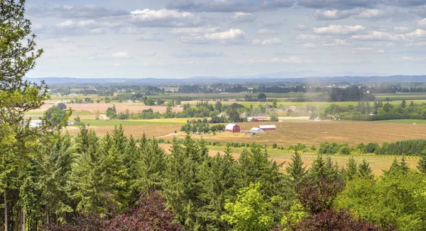 Oregon Countryside Willamette Valley Agricultural Panorama — Stock Photo, Image