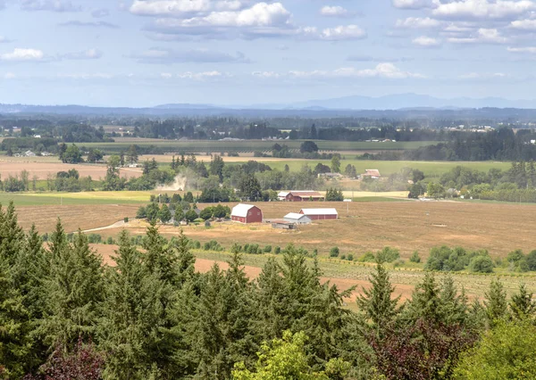 Oregon Countryside Willamette Valley Agricultural Panorama — Stock Photo, Image