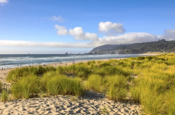 佳能海滩草沙和冲浪风景俄勒冈海岸 — 图库照片