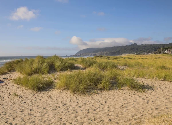 Canon Beach Areia Grama Surf Costa Oregon — Fotografia de Stock