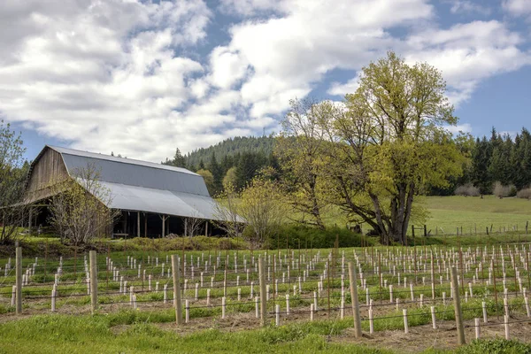 Large Barn Field Country Washington State — Stock Photo, Image