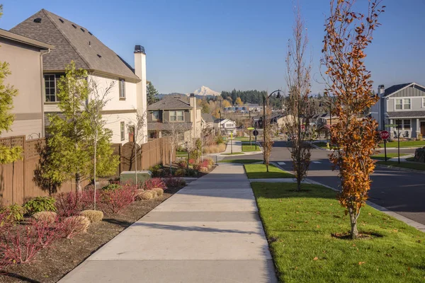 Strassenviertel Mit Aussicht Wilsonville Oregon — Stockfoto