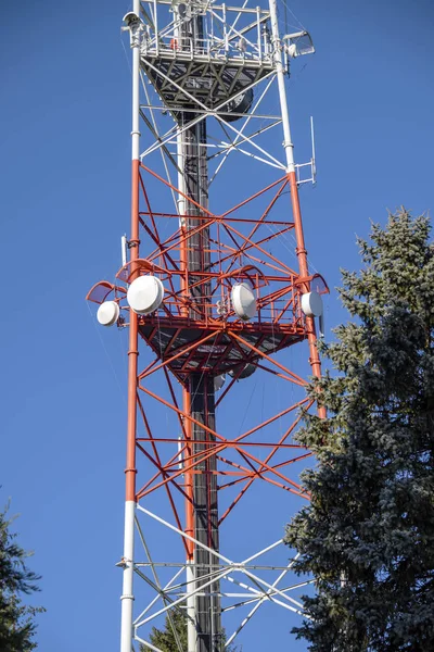 Communication Cell Phone Tower Park Portland Oregon — Stock Photo, Image