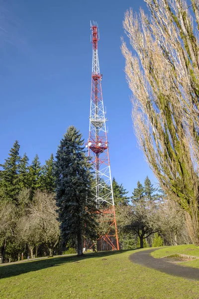 Communication Cell Phone Tower Park Portland Oregon — Stock Photo, Image