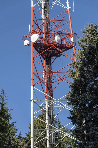 Communicatie Mobiele Telefoon Toren Een Park Portland Oregon — Stockfoto