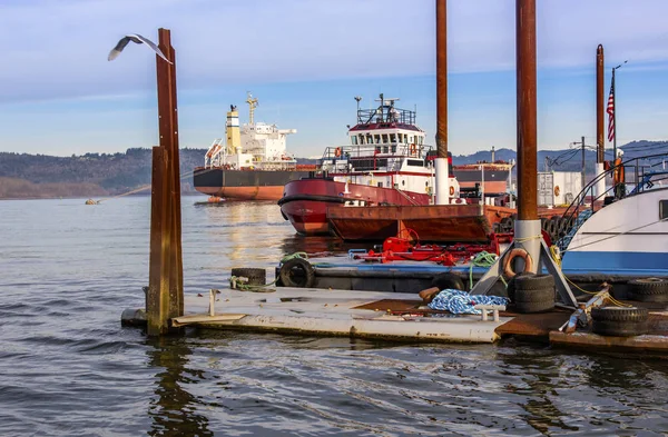 Remolcadores Amarrados Campiña Del Puerto Rainier Oregon — Foto de Stock