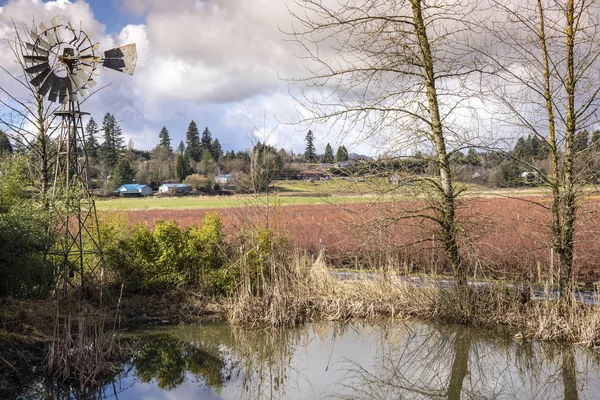 Alte Windmühle Ein Teich Und Blaubeere Fam Landschaft Washington State — Stockfoto