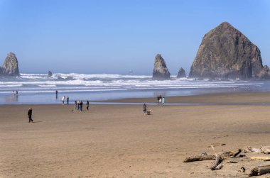 İnsanlar sahilde Oregon bir gün zevk.