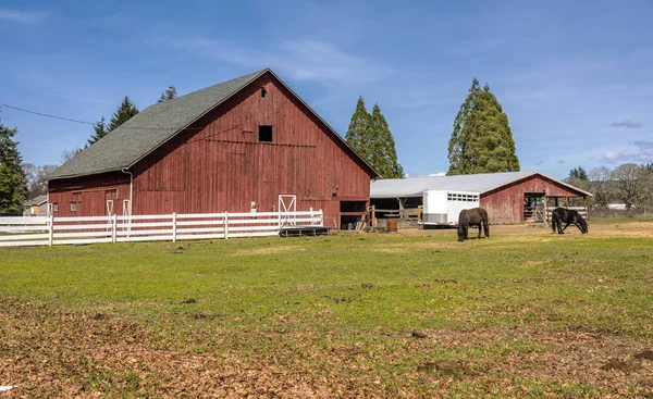 Kraju stodoła i konie Oregon state. — Zdjęcie stockowe