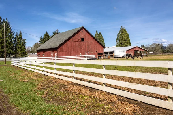 Country barn and horses Oregon state. — Stock Photo, Image