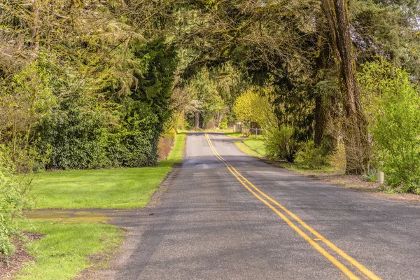 Landsväg på landsbygden i delstaten Washington . — Stockfoto