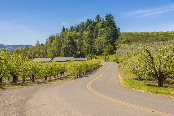 Hood River paisagem e fazendas estado de Oregon . — Fotografia de Stock