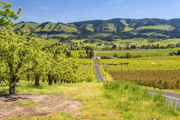 Hood Paesaggio fluviale e fattorie Stato dell'Oregon . — Foto Stock