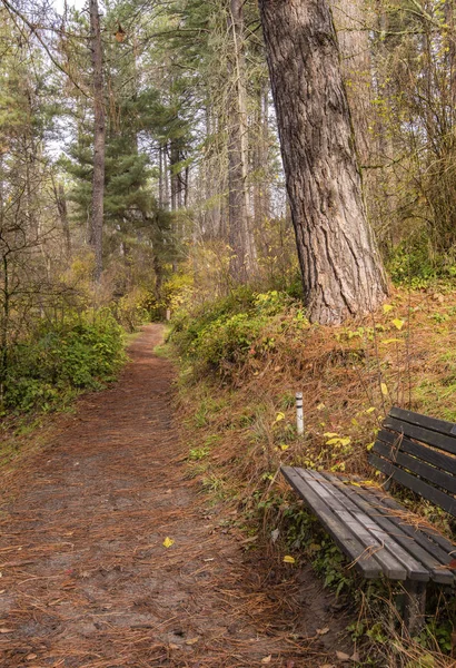 Yaya geçidi thorugh bir park Oregon. — Stok fotoğraf