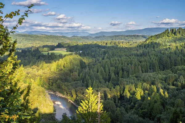 Jonsrud orman ve Sandy nehir bakış açısı Oregon devlet. — Stok fotoğraf