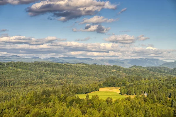 Jonsrud Forest View Point Panorama Oregon State. — Stockfoto