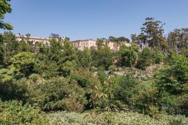 Balboa Park Ormanı ve San Diego California binalı bahçeler.
