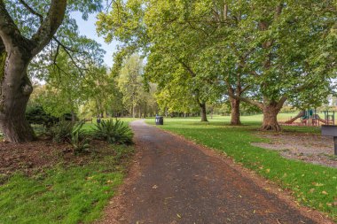 Kamu parkı ağaçları ve çimenler Sonbahar sezonu Oregon.