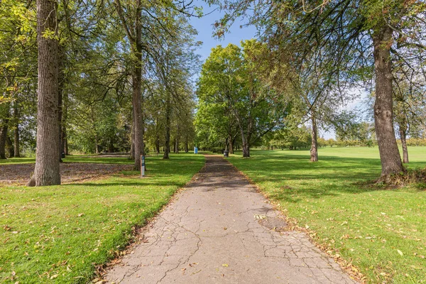 Parco Pubblico Alberi Erba Stagione Autunnale Oregon — Foto Stock