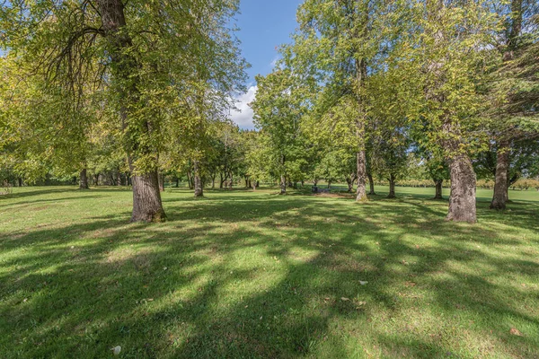 Öffentlicher Park Bäume Und Gras Herbstsaison Oregon — Stockfoto