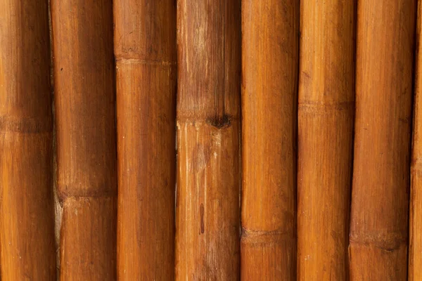 Textura de madera de bambú de cerca — Foto de Stock