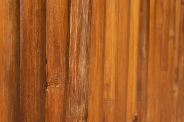Bambusové dřevo textura zblízka — Stock fotografie