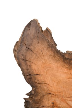 Beyaz arka plan üzerinde izole ağaç kütüğü kesiti