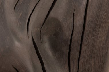 Beyaz bir arka plan üzerinde eski bir meşe ağacının kökleri yapılmış bir ürün. İzole görüntü