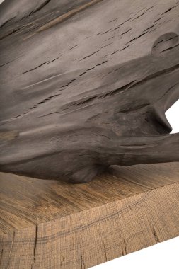 Beyaz bir arka plan üzerinde eski bir meşe ağacının kökleri yapılmış bir ürün. İzole görüntü