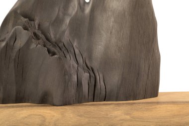 Beyaz bir arka plan üzerinde eski bir meşe ağacının kökleri yapılmış bir ürün. İzole görüntü