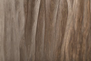 Eski ahşap üzerine beyaz bir arka plan ağaç doku parçası