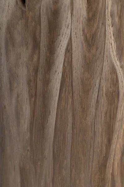 Altes Stück Holz auf weißem Hintergrund, Holzstruktur — Stockfoto