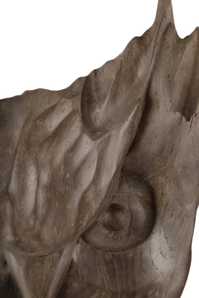 Velho pedaço de madeira sobre um fundo branco, textura de madeira — Fotografia de Stock