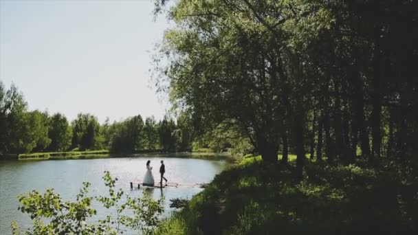 Copacii cresc pe malul unui lac într-o zi însorită — Videoclip de stoc