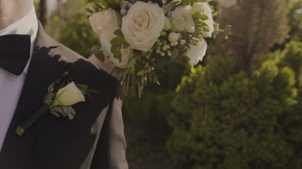 新婚夫婦抱擁と完璧な日当たりの良い天候の中でキス — ストック動画