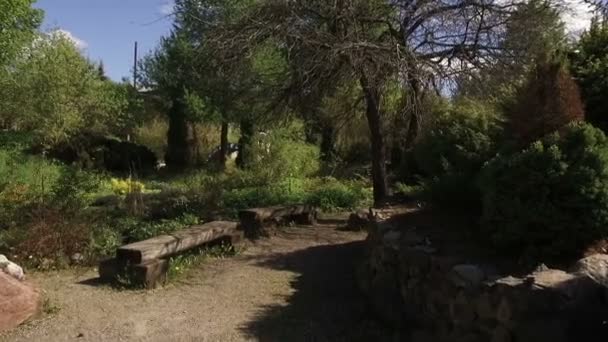 Glade bir tezgah ve ağaçları, ile kamera taşımak ileri — Stok video