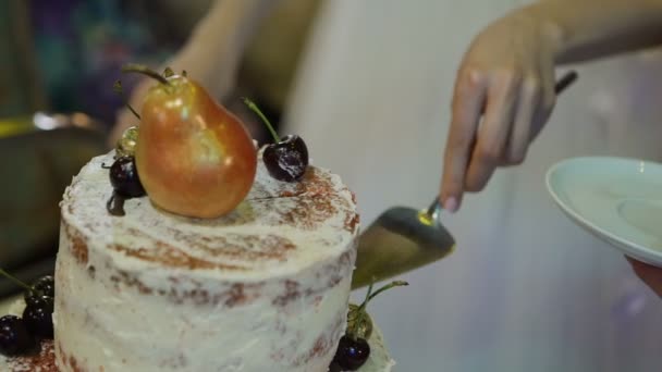 Beau gâteau coupé avec un couteau sur un stand — Video