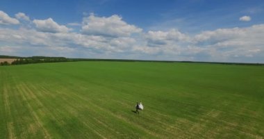 Yeni evliler yeşil çim ve güneşli hava alanına yürüyor