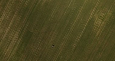 Yeni evliler yeşil çim ve güneşli hava alanına yürüyor