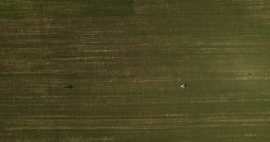 Yeni evliler yeşil çim ve güneşli hava alanına yürüyor