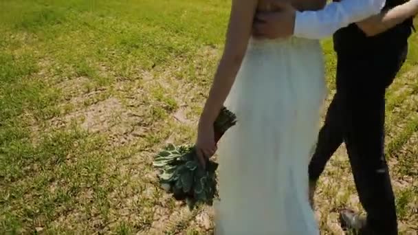 新婚夫婦が緑の草と日当たりの良い天気でフィールドで歩いています。 — ストック動画