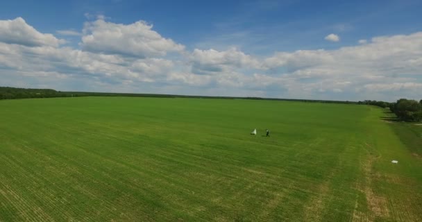 De pasgetrouwden lopen in het veld met groen gras en zonnig weer — Stockvideo