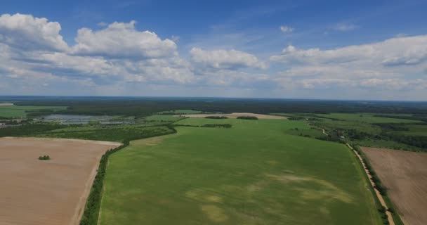 Flygning över den gröna fältet — Stockvideo