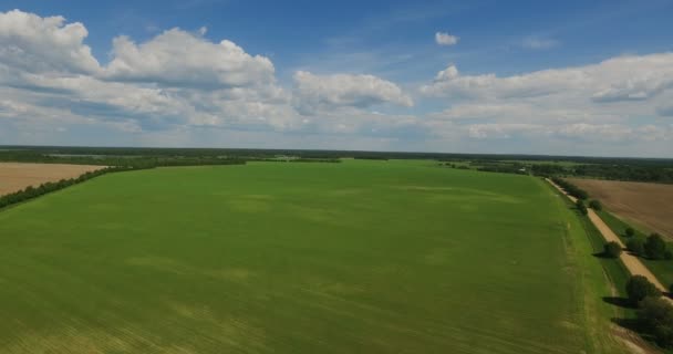 Полет над зеленым полем — стоковое видео