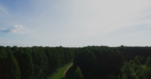 Widok z lotu ptaka. Latanie nad pięknymi drzewami leśnymi. Zdjęcia z kamery lotniczej. Panorama krajobrazu — Wideo stockowe