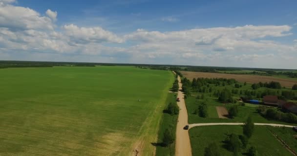 Vlucht over het groene veld — Stockvideo